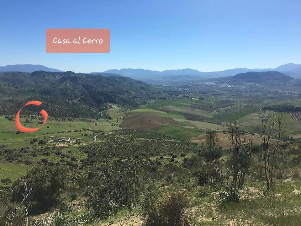 アロラCasa Al Cerroアパートメント エクステリア 写真